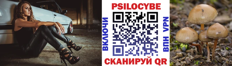 Псилоцибиновые грибы GOLDEN TEACHER  Чегем 